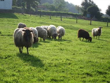 APAG Extremadura Asaja plantea al nuevo consejero de Agricultura las demandas 'más urgentes' del campo