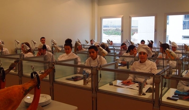 La Escuela Oficial de Hostelería y Agroturismo de Extremadura ofrece 8 nuevos cursos de formación para desempleados 