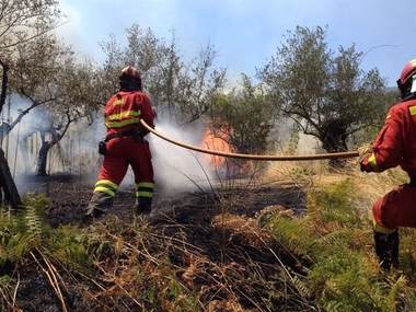  Medio Ambiente envía medios aéreos y terrestres para combatir el fuego en Extremadura y otras dos regiones