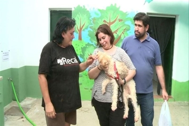 El aumento de casos de abandono de perros en verano desborda a las protectoras