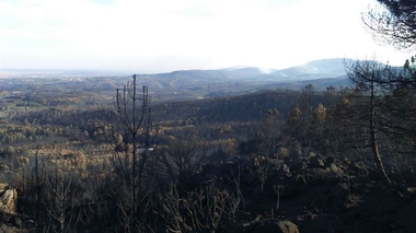 CCOO propondrá a Vara la concesión de la Medalla de Extremadura a los bomberos forestales del Infoex