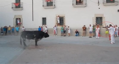 El Ayuntamiento de Coria podría ser multado con hasta 30.000 euros por la muerte de un toro de un disparo en Sanjuanes