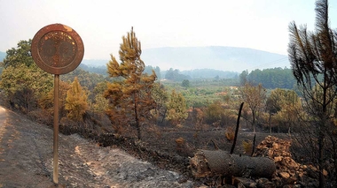 Vara pide a Rajoy medidas extraordinarias para Gata tras el incendio, cuyos daños superan los 50 millones
