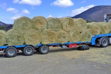 La Diputación de Cáceres hace la tercera entrega de heno a ganaderos afectados por el incendio en Sierra de Gata