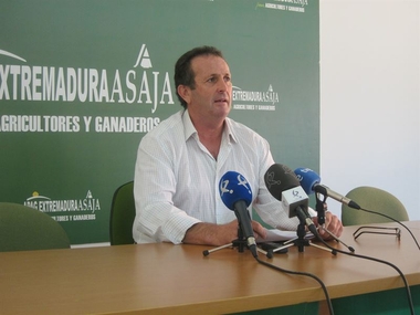 APAG Extremadura Asaja señala que el rebusco 'no necesita' regulación pero sí la garantía de 'la seguridad alimentaria'