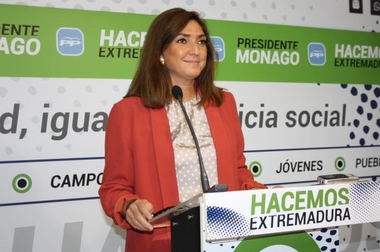 El PP señala que la Junta recorta a profesores de apoyo para niños con necesidades educativas especiales en los centros concertados 