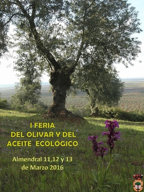 Almendral celebra este fin de semana la I Feria del Olivar y el Aceite Ecolgico con diversas actividades