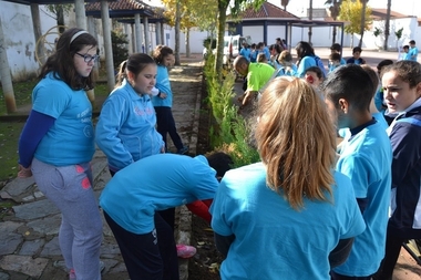 Alumnos del CEIP 'Maestro Pedro Vera' de Oliva de la Frontera conocen la flora ornamental de las calles del municipio