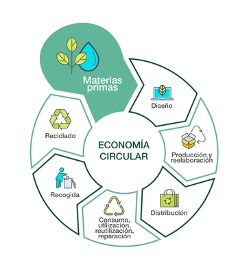 El nuevo fenómeno de la economía circular
