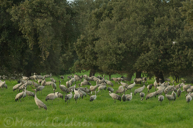 Extremadura entre lo Posible y lo Deseable