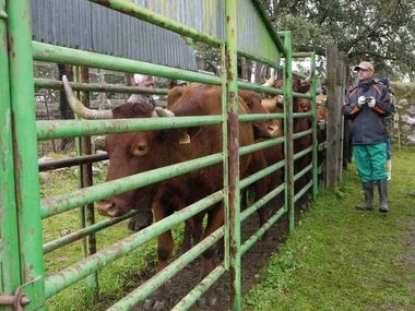 La Junta informa de que se han registrado más de 1.400 solicitudes de ayuda a la creación de empresas para jóvenes agricultores y agricultoras