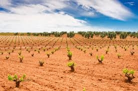La Junta de Extremadura abona otros 3,37 millones de euros de las ayudas agroambientales solicitadas en 2018