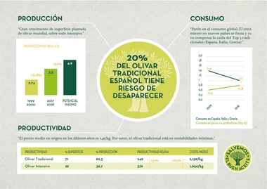 Más del 20 % del olivar español en riesgo de abandono 