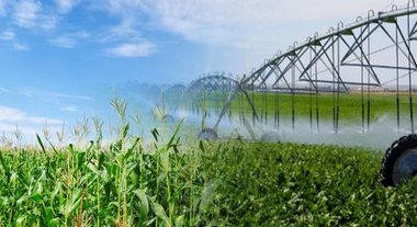 Desarrollo Rural licita nuevos trabajos que impulsan la transformación en regadío de Arroyo del Campo y Los Quintos