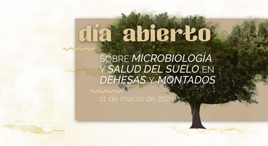 Un encuentro digital organizado por CICYTEX abordará el papel de la microbiología en la salud del suelo de dehesas y montados
