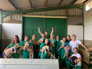 Extremadura oferta estancias formativas a jóvenes en explotaciones agroganaderas modelo con el Programa Cultiva 2023